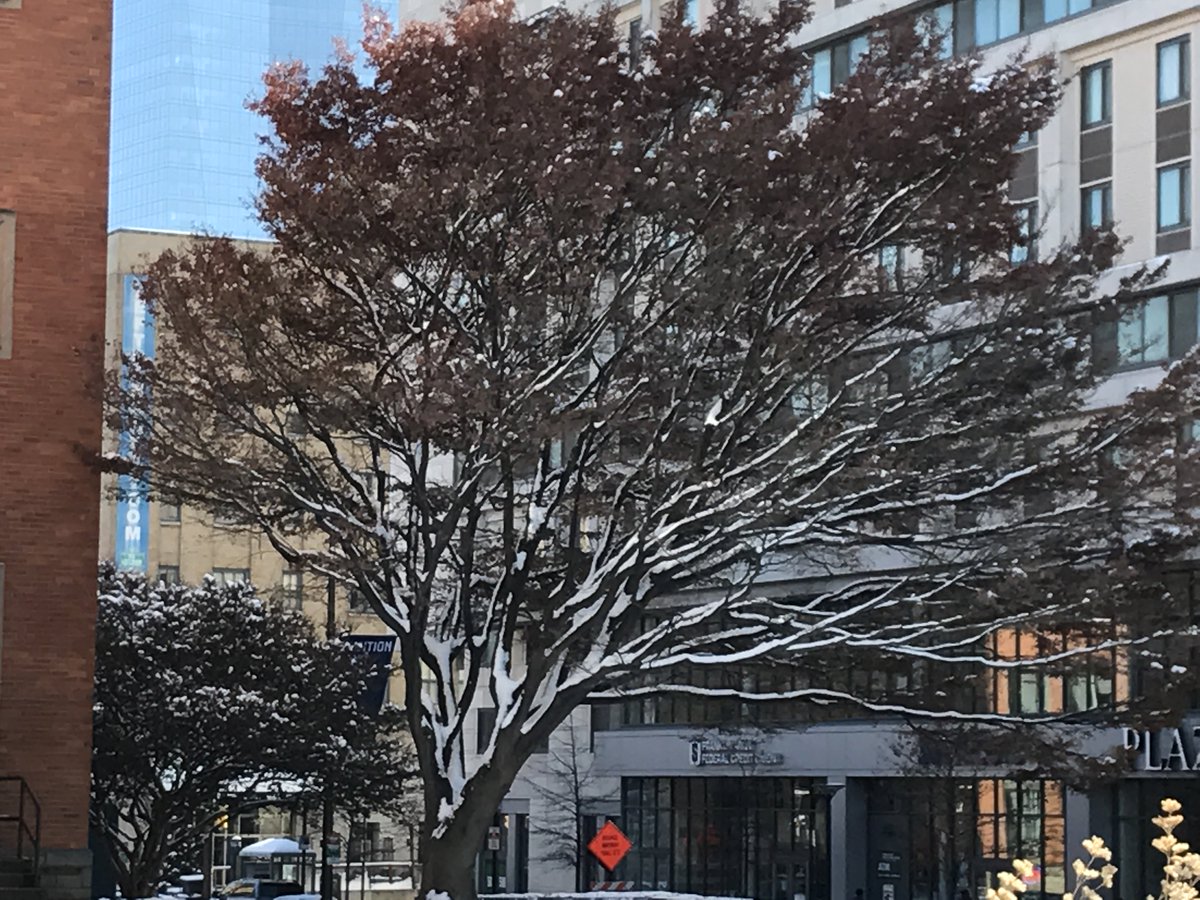 longhandnotes's tweet photo. Branches that are stretched
Closest to the sun, are where
Snow may linger most!
#haiku #StickingOut #exposure #OutOnALimb #SnowDay #HoldingUp https://t.co/q8F86BSEM6
