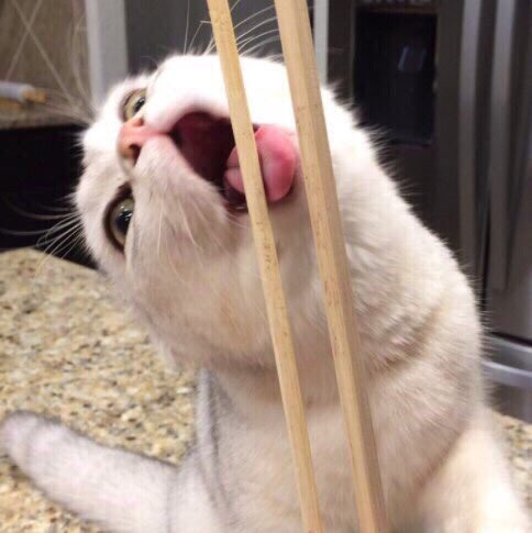 When you try to do a BJ for the first time And you don't know how to start https://t.co/hyfyQmWiWc<a href="/tag/onmfc"class="tags"><span>#onmfc</span></a>