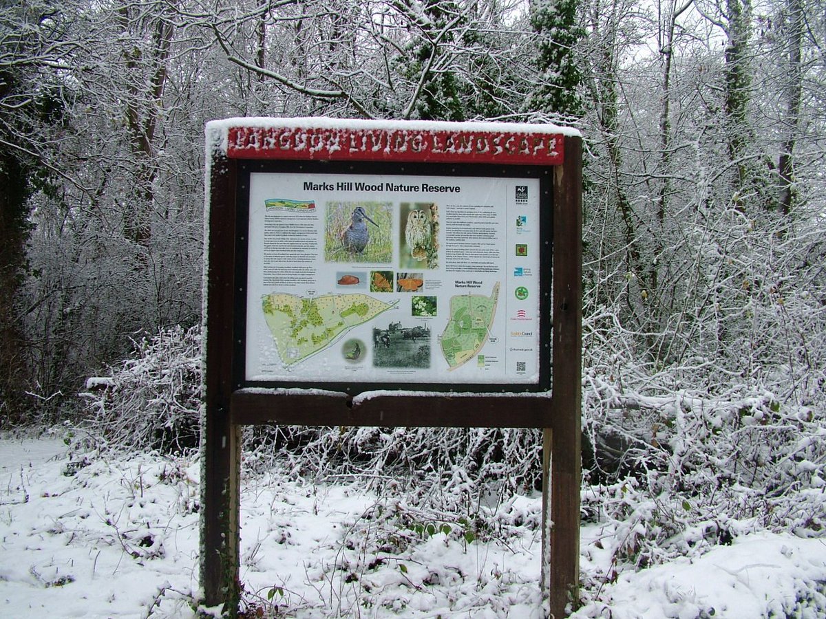 Basildon NatHisSoc tweet media