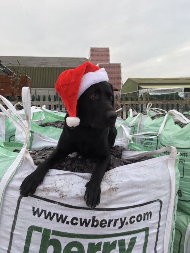 LindsaySielski's tweet photo. Combined drone and dog training  @CandWBerry finished with the dogs feeling in the festive mood @supersid54 @LFRS_DRONE @michaeljohndewa @Andyball3020 https://t.co/JbvXmHB0v8