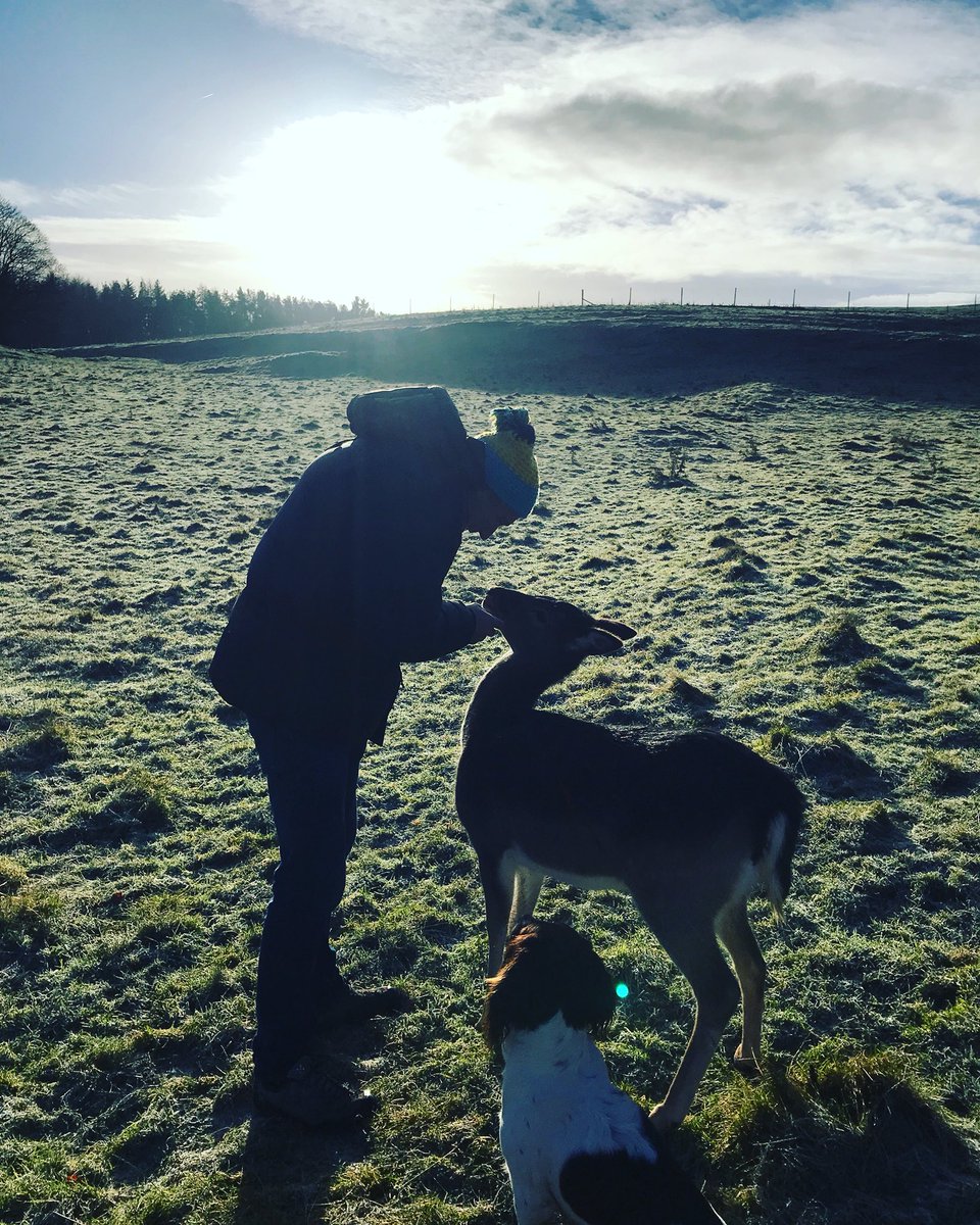 Frosty mornings with Mark and Deer Florence... #winter2017 #doeadeer #frosty #christmas2017