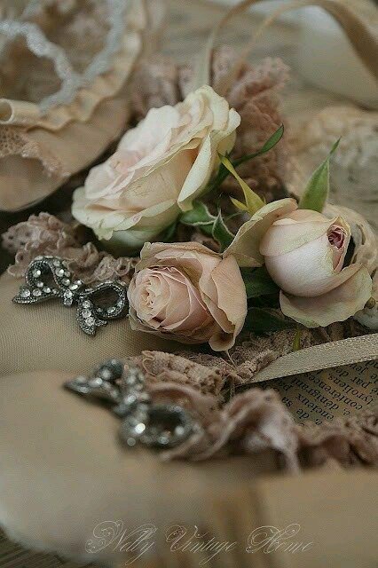 🎻Good🔥 Evening ☕
🎧🐞🎼🐧🎻🐛
#TwitterFriends 🎄🍁🎻