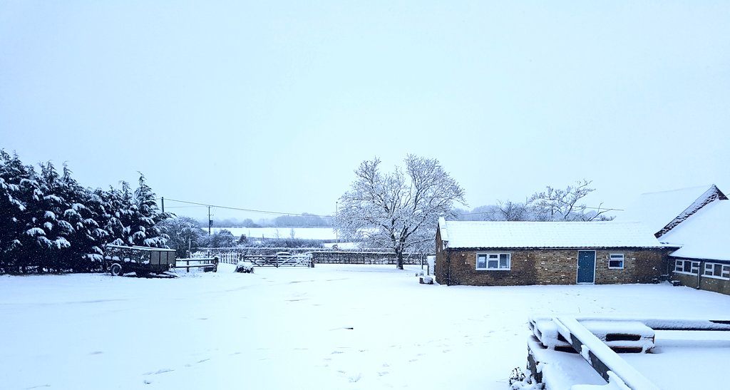 cathdalton57's tweet photo. Crazy journey home from @WrittleCricket due to the snow! It does look like #WinterWonderland โโ๐ #snow #committedcoach ๐๐ธ https://t.co/aI8dgZPrCL