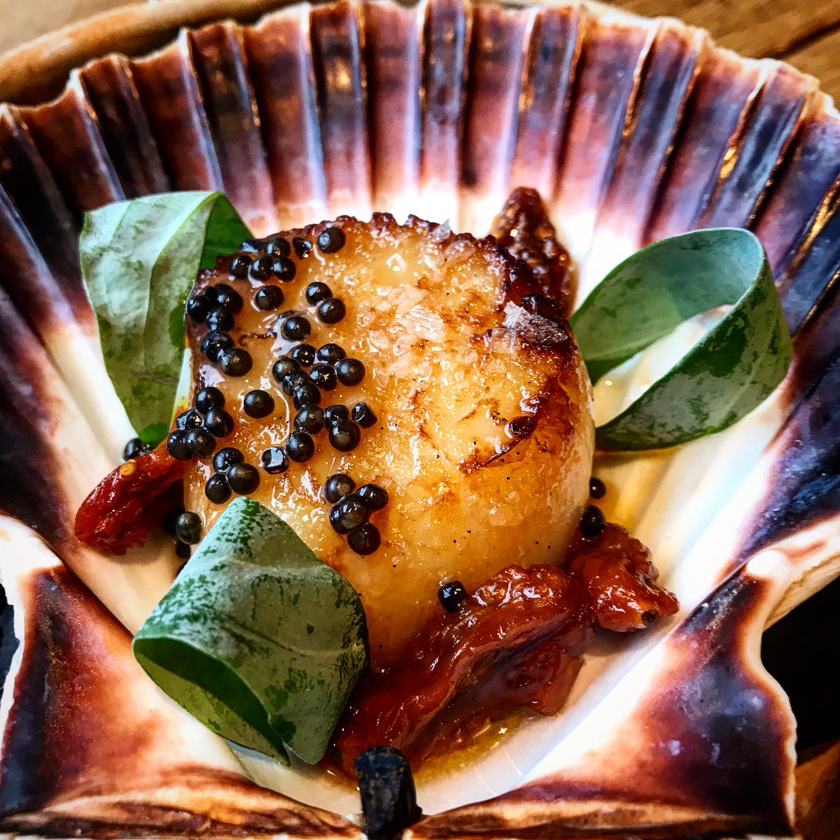 The Dish Served tweet media