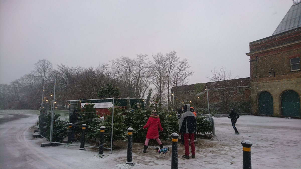 SholachTrees's tweet photo. It's beginning to look a lot like #Christmas #snow #scottish #Weather Its a great #freshtrees buying day ๐๐ https://t.co/clVzfhKN6a