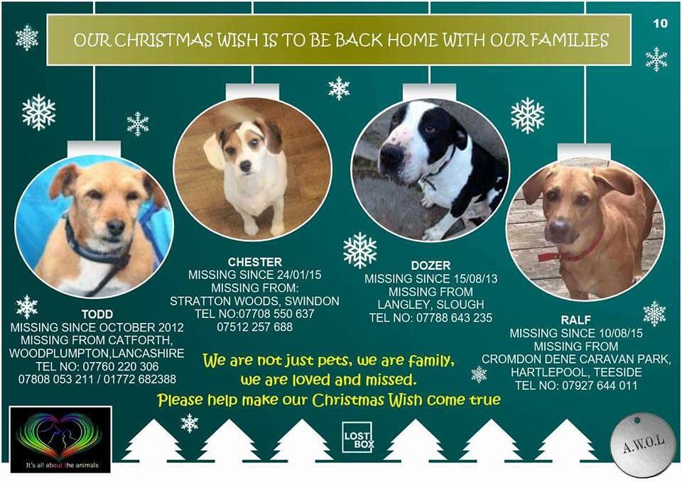 LisaLisaw1's tweet photo. 🎄⛄️🎄 #FindTodd #HelpFindChester #FindDozer #HelpFindRalf #GetMeHomeForChristmas #AChristmasWish 🎄⛄️🎄 https://t.co/M1WrRDQKUd