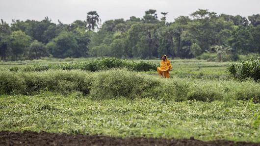 Magalietheodore's tweet photo. An Indian state wants to use blockchain to fight land ownership fraud.#blockchain #indian #land  #haitireforestationcannotwait https://t.co/ribUTHRd1E