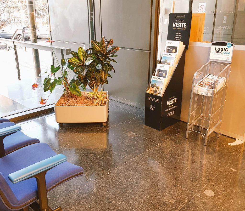 damehalisse's tweet photo. Espace d'attente fleuri chez @Norevie_esh #accueilclient https://t.co/IaNvhprxzt