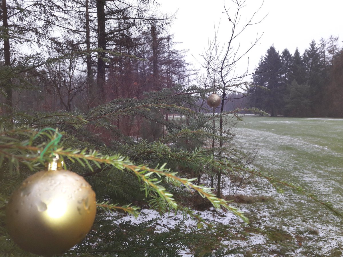 gclauswolt's tweet photo. Kerstsfeer op de baan. https://t.co/tnpCexjrij