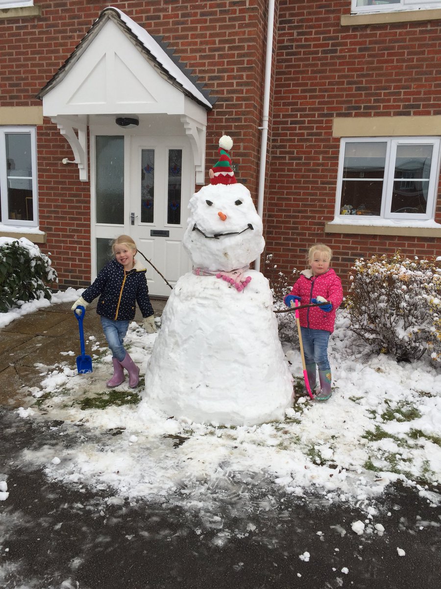 ImprovingHacker's tweet image. Can we bring our new friend?