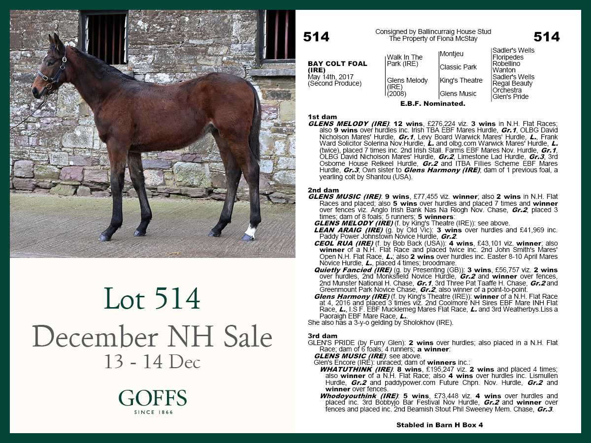 Goffs On Twitter Dec Nh Highlight Lot 514 By Coolmorestud Walk