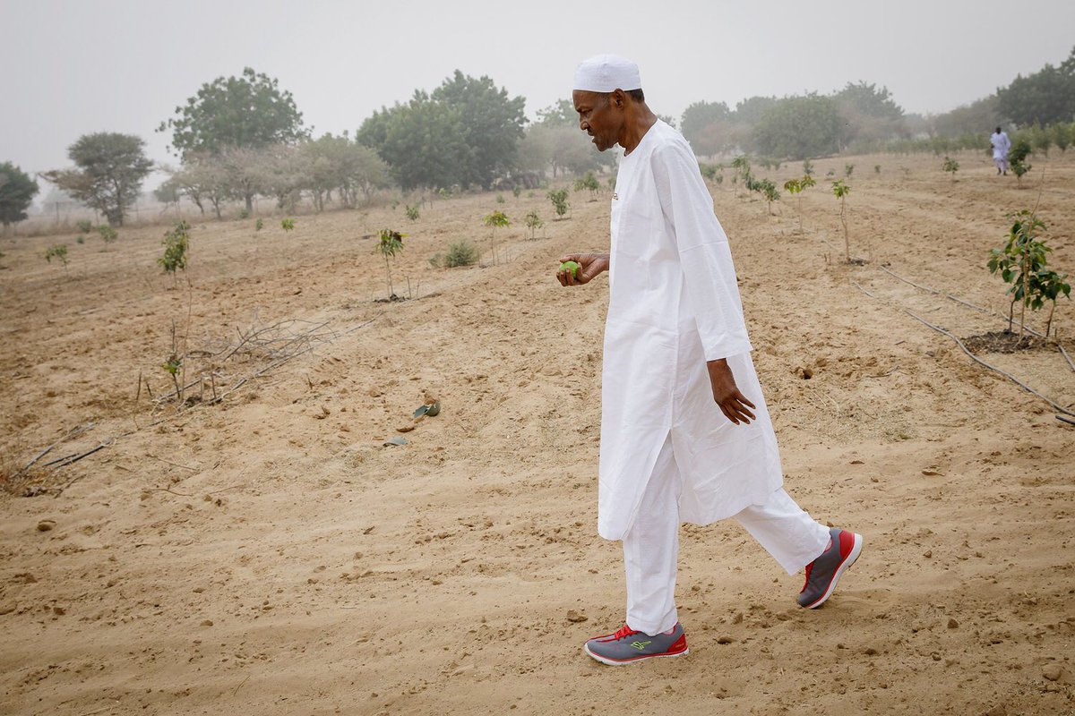 MrRefor's tweet photo. Buhari today in his farm,  no security, no armed men,  nothing, nothing, another quality of a good leader. 

#PMBinDaura https://t.co/2I13pCFRjU