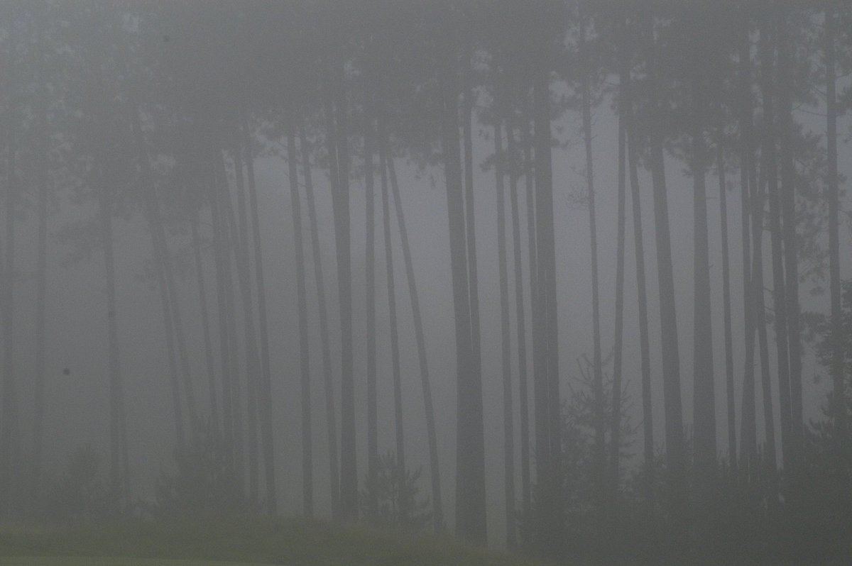 Gloom_Chasers's tweet image. Sunday morning is a quiet time.
Maybe see if our music is quite quiet enough for you on @Spotify 
spoti.fi/2BgBqSz
#ambient #music #quietSundays