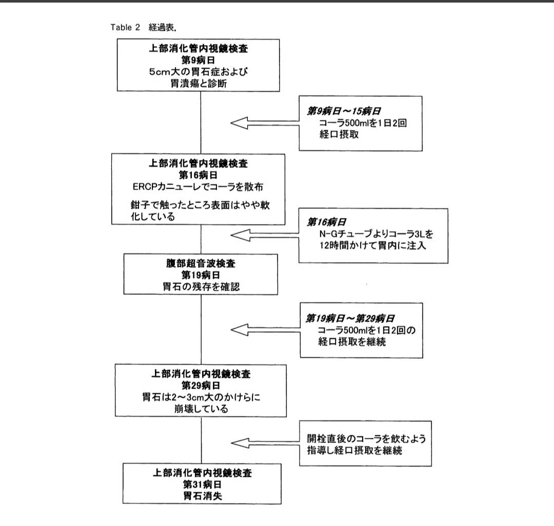 柿は食べすぎると良くない？胃潰瘍や腸閉塞を起こす「柿胃石」の意外な治療法！