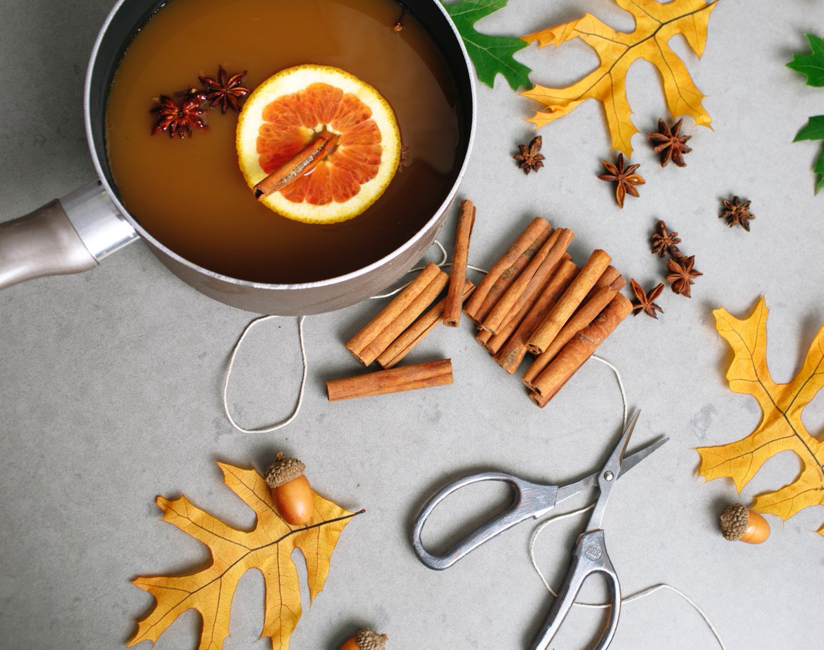 Tfal_Cookware's tweet photo. Hot apple cider with cinnamon and cloves is sure to keep you warm this weekend. #tfaltips https://t.co/vbkgyNFHsL