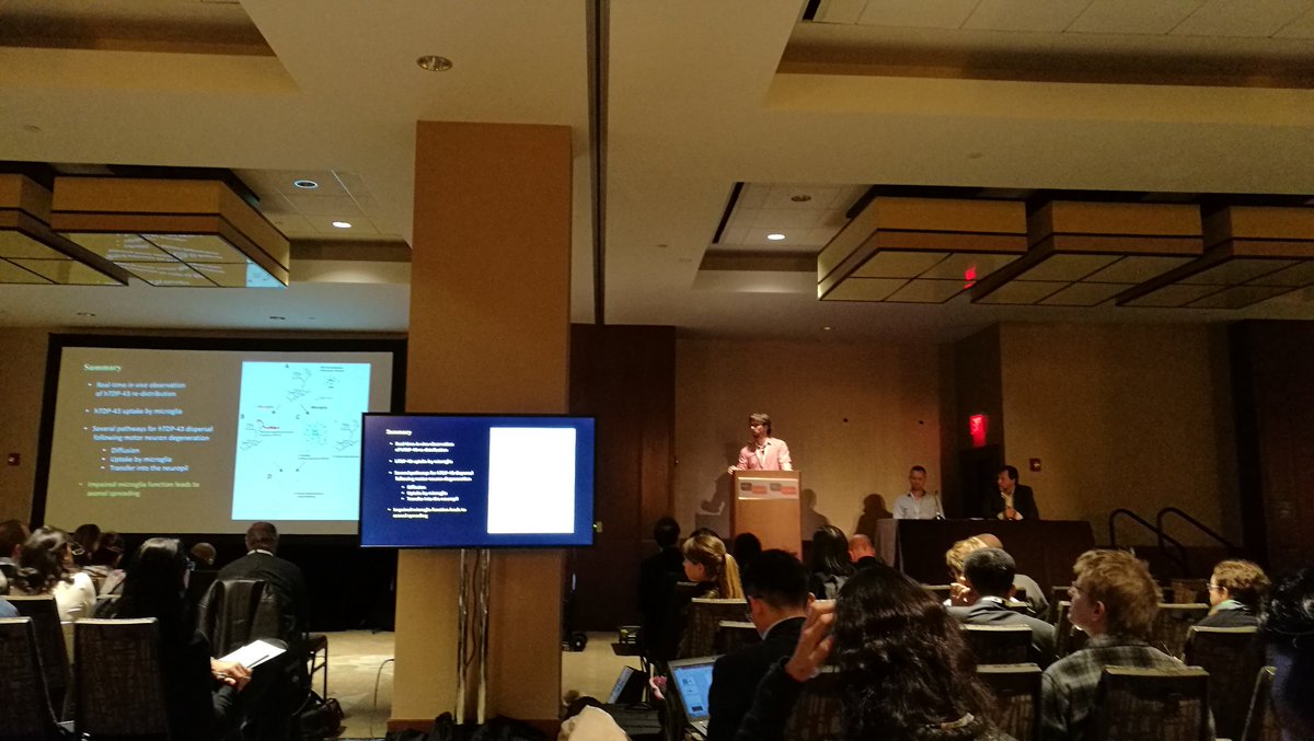 Shengo_Le's tweet photo. Dr Morsch from @mnd_mq presenting amazing work looking into tdp43 redistribution at single cell level when neurons undergoing degeneration #alssymp @MND_RIA https://t.co/gtO1tDHESL