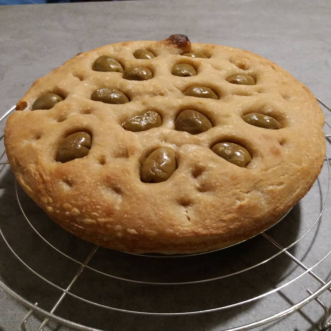 BGZLuca's tweet photo. #focaccia con #olive e #pomodorisecchi #comfortfood
#granotenerotipo2 #buratto
#monococco #enkir
#granoduro #senatorecappelli
#macinatiapietra
#biologici
.
#sourdough #sauerteig #surdeg #закваска #zuurdesem .
#sourdoughbread
.
#WWWLUCAZANARDIIT
( https://t.co/i89jwBT3H6 ) https://t.co/7U3MU9a9Dk