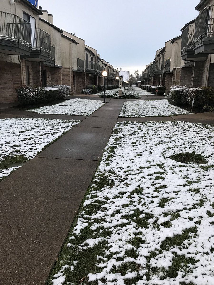 annaafgibson's tweet photo. Come back snow and cold weather!!! #houston #snow #cold https://t.co/QkemrY3wuK
