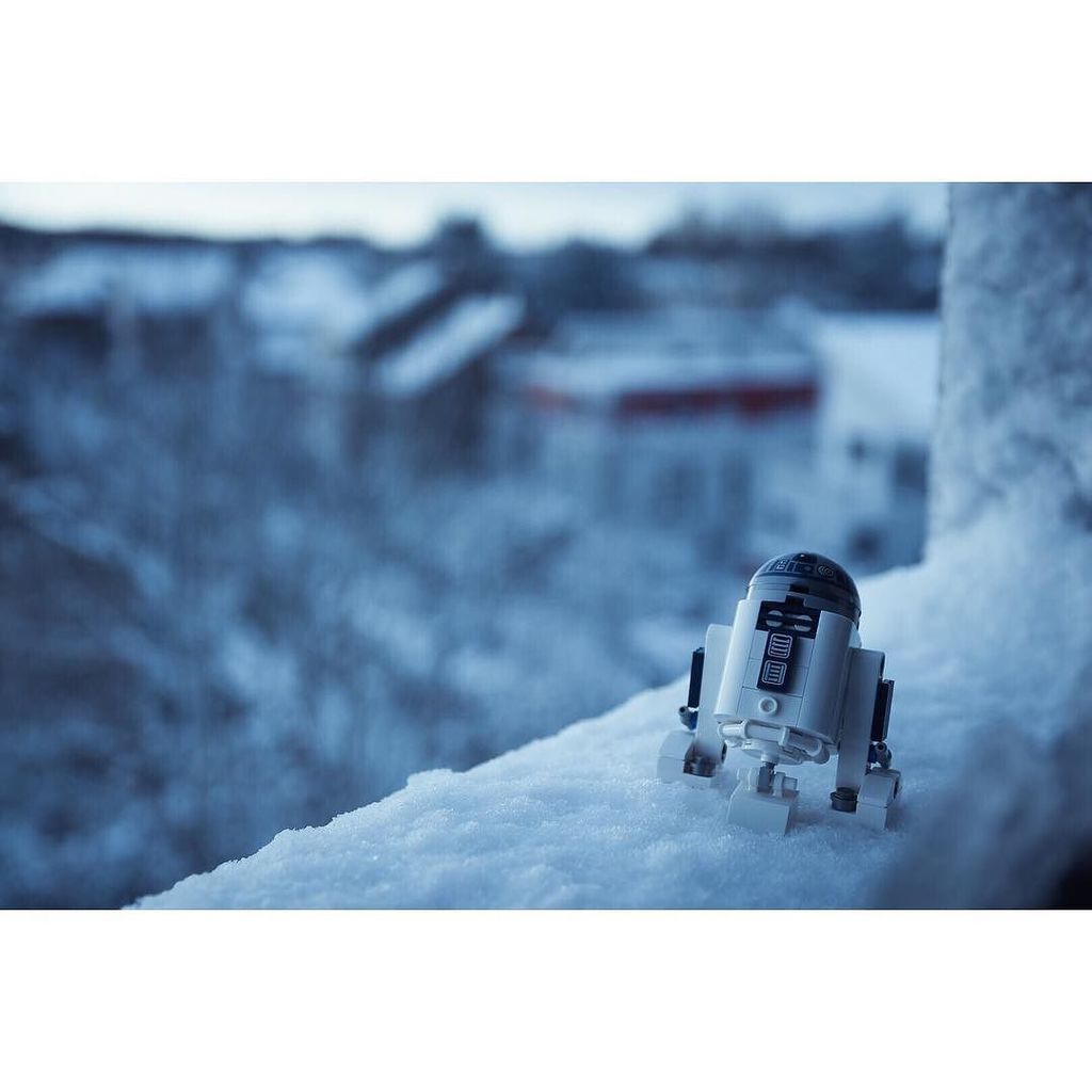 Expl_NewZealand's tweet photo. R2D2 finding its way through the fresh snow in Cologne, Germany.
-
-
-
-
#cologne #freshsnow #snow #starwars #r2d2 #lego #legostarwars #köln #macrophotography #legostagram #bricknetwork https://t.co/qfJKvgPuGI