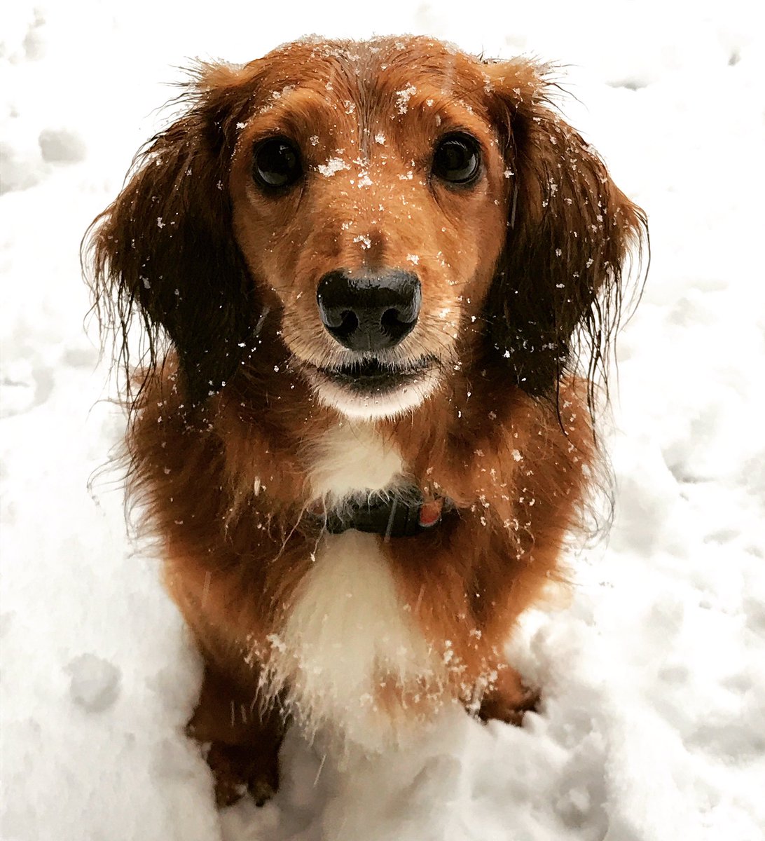 Messi in de sneeuw ❄️