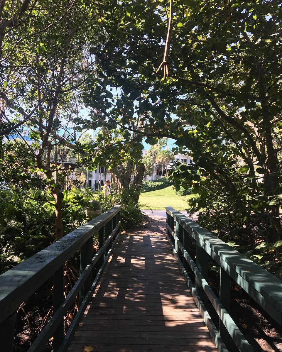 Getting in touch with nature is easy when you’re strolling along one of our trails. 

📷: maddie.hochstein