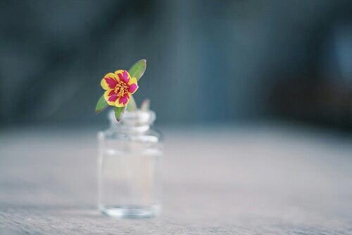 ❀..💚
  « الــحــيــــاة »
ألم يخفيـه أمــل..
 وأمــل يحققــه عمــل.. وعمـل ينهيـه أجـل..
ثم يجـزى كـل امرئ بمــا فعل ..
🌷