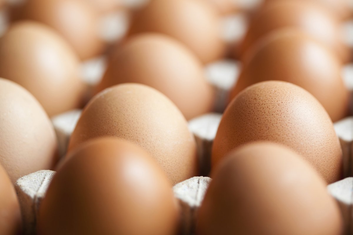 EverydayHealth tweet picture