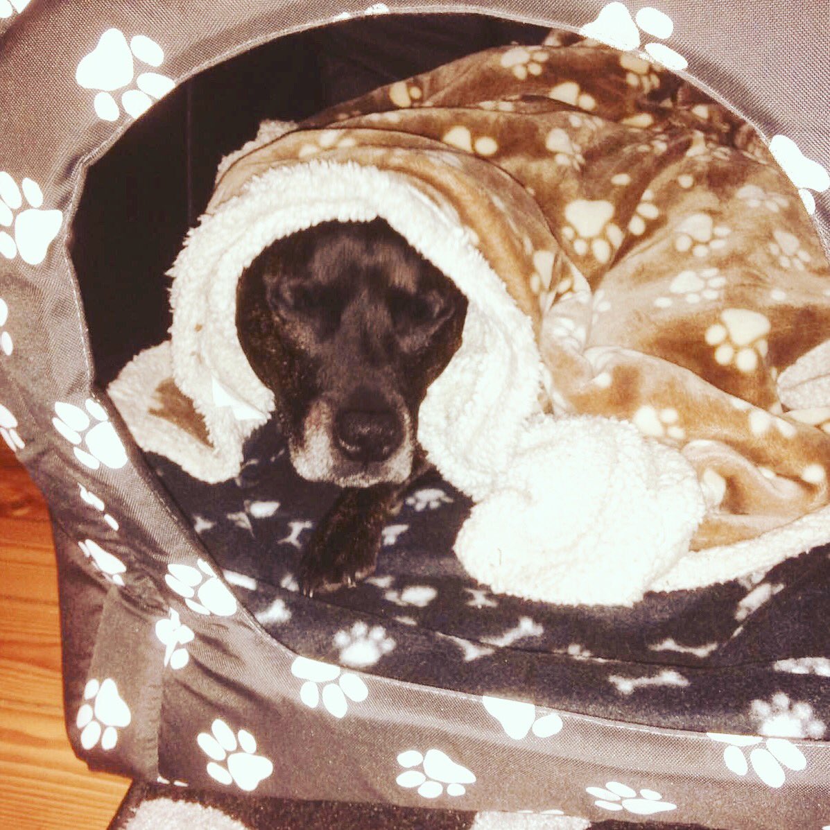 SpeedStyleAutos's tweet photo. #ReggieReckons It’s time to hibernate after the snow
We offer a Free 10-point Winter Safety Check including free screen wash top-up
Book now: 01473 785544
#uksnow #freeservice #snowday #winter #garage #ipswich #suffolk #cars #vehicle https://t.co/Q3tPRbO04K