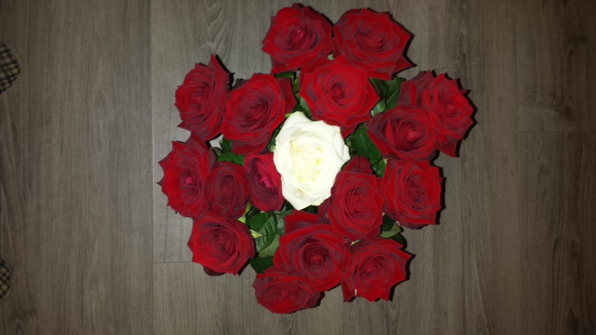 Media Tweets By Guiader Thierry Guiadert Twitter