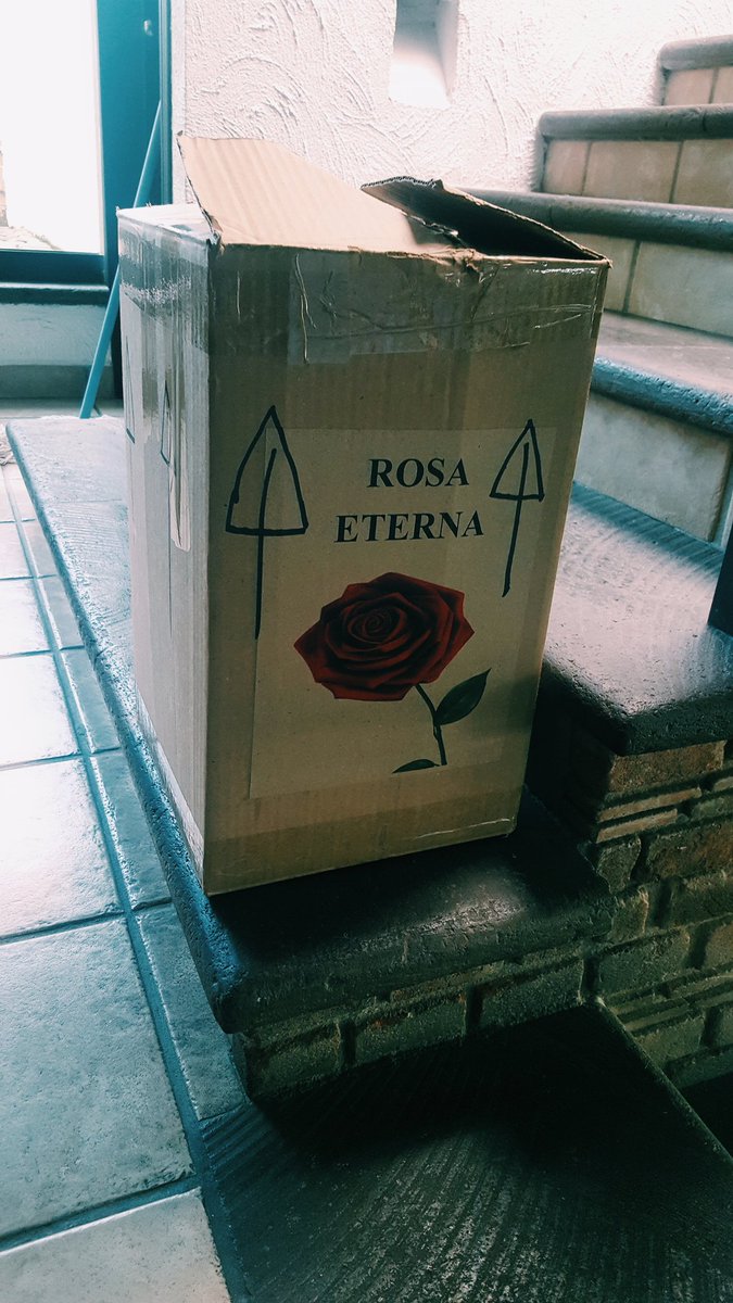Monica_SM's tweet photo. Mi novio es lo máximo ❤❤❤❤ 10 años de vida tiene está rosa! https://t.co/qA9ZmCMEfT