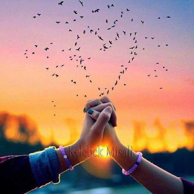 "İnsanın sözü, kalbindekini haber verir." 
Hz.Mevlana