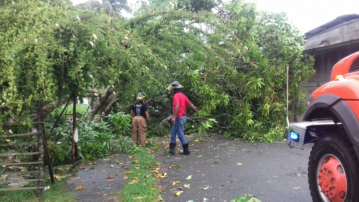 <a href="/Bomberosbocas/">Bomberos bocas</a> atiende en estos momentos emergencia por árbol caído en Barrio Francés, Bocas Del Toro.