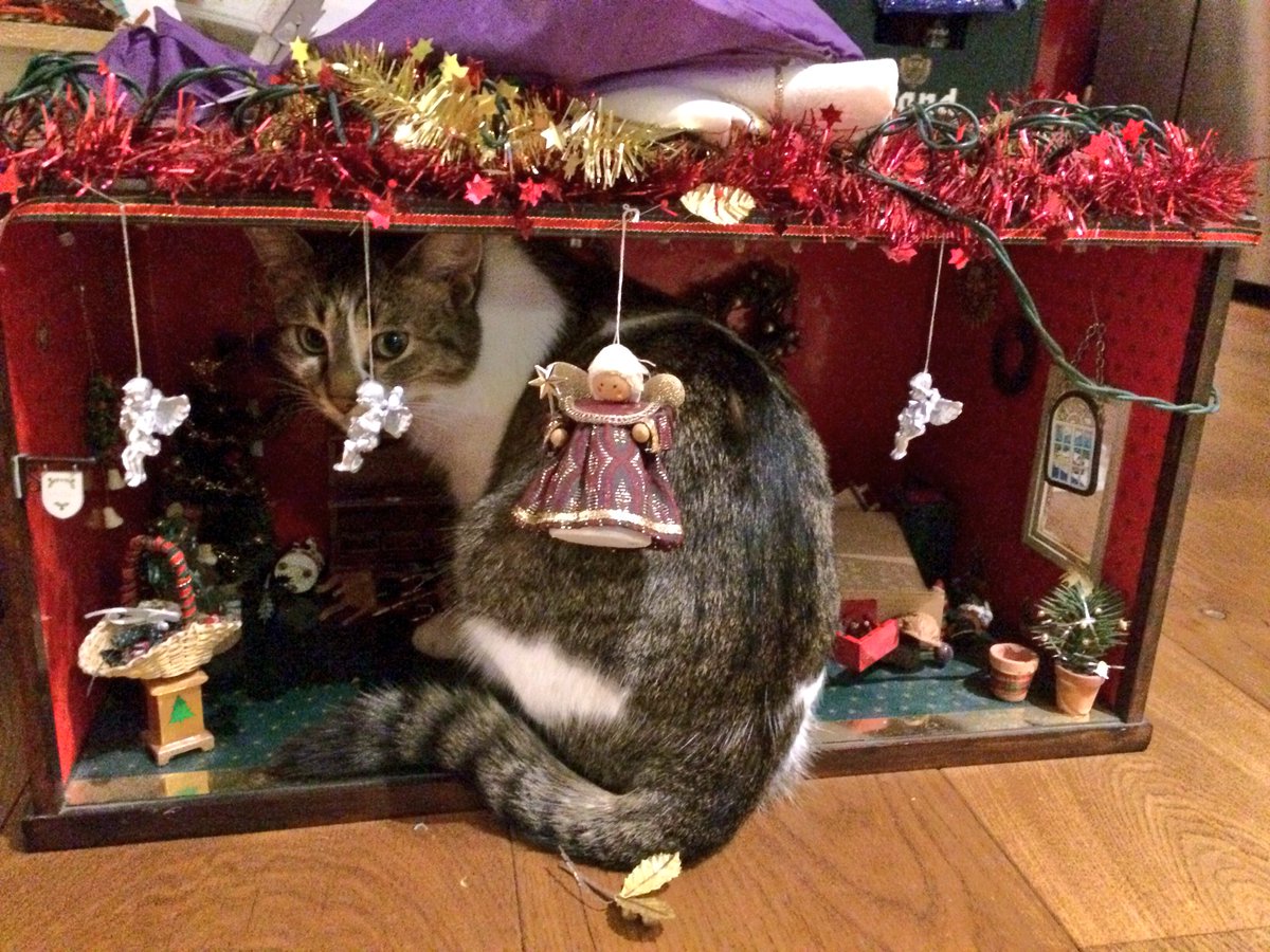 KlapzoenKaboem's tweet photo. Ik kreeg ook een kerstwinkeltje. Met verlichting en shizzle.
Poes dacht “ff rellen” en sloopte het interieur. Heb de ME erheen gestuurd.
#rotkat https://t.co/q4YzgEXPWw
