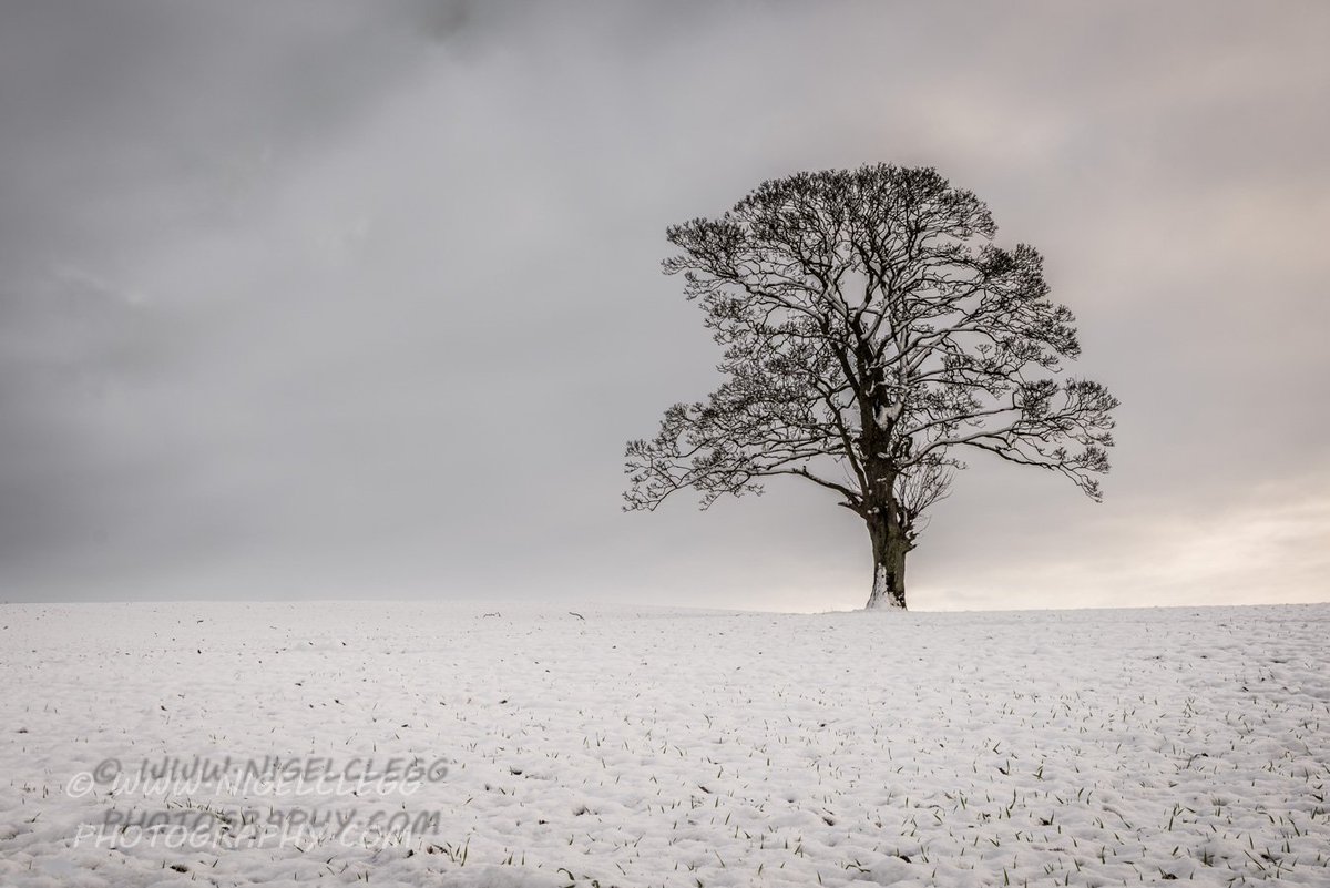 nigelcleggphoto's tweet photo. My #snow photography from over the weekend

https://t.co/hokiiBLzif

#NorthernIreland #Ireland #Winter #Mournes #WinterWonderland #SoloTree #LandscapePhotography https://t.co/JeQb5vf21J