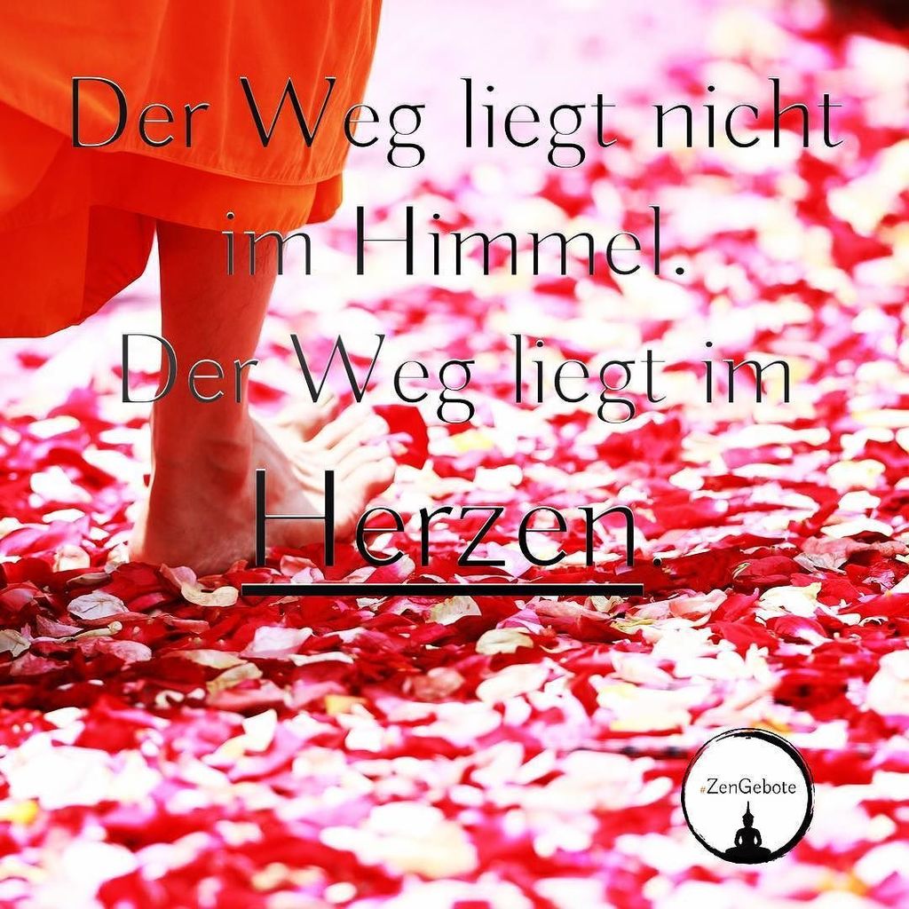 ZenGebote on Twitter "Follow your ️ zen weisheiten buddha hsp 