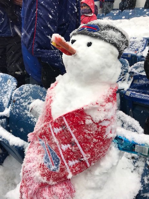buffalo bills play by play buffalo bills play by play