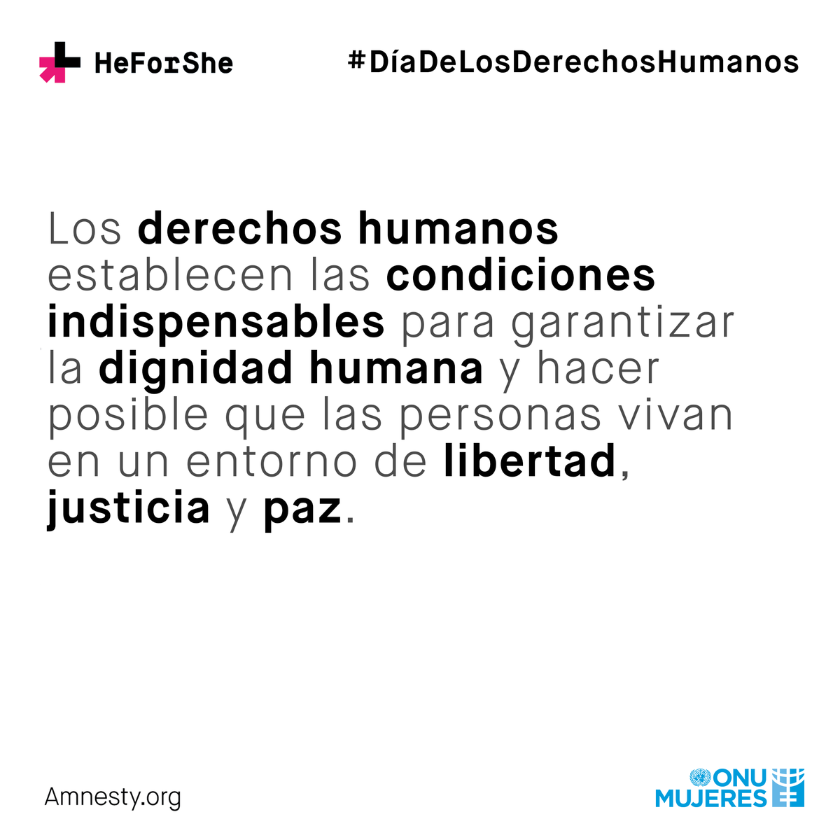 HeForSheLAC's tweet photo. La igualdad de género es un derecho humano. #DiaDeLosDerechosHumanos https://t.co/8eb3C2nqSE
