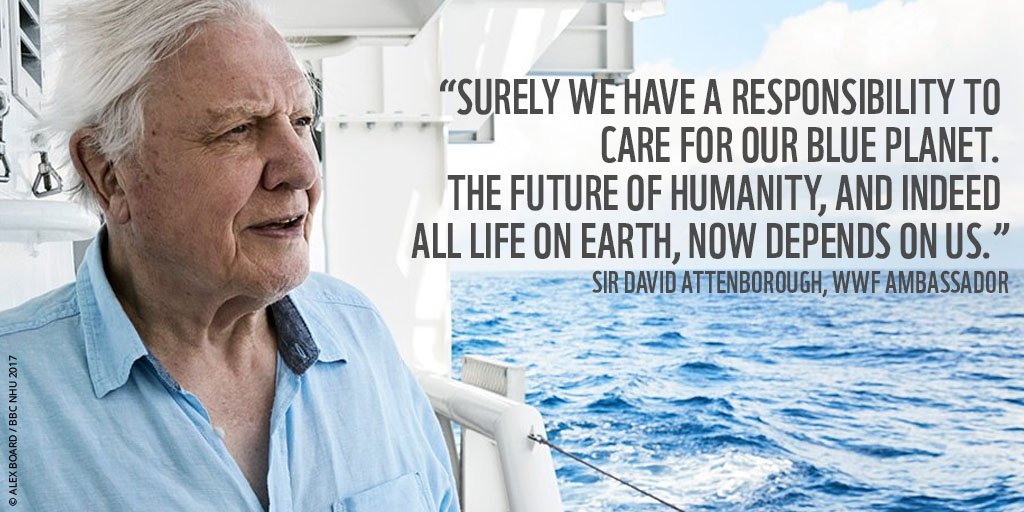 wwf_uk's tweet image. #BluePlanet2 is opening the eyes of millions to the problems facing our oceans. We must do all we can to protect them. Are you a #BluePlanetChampion too? RT if you want to protect our planet
