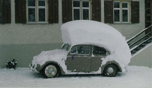 choreosa's tweet image. Punk ist nicht tot.