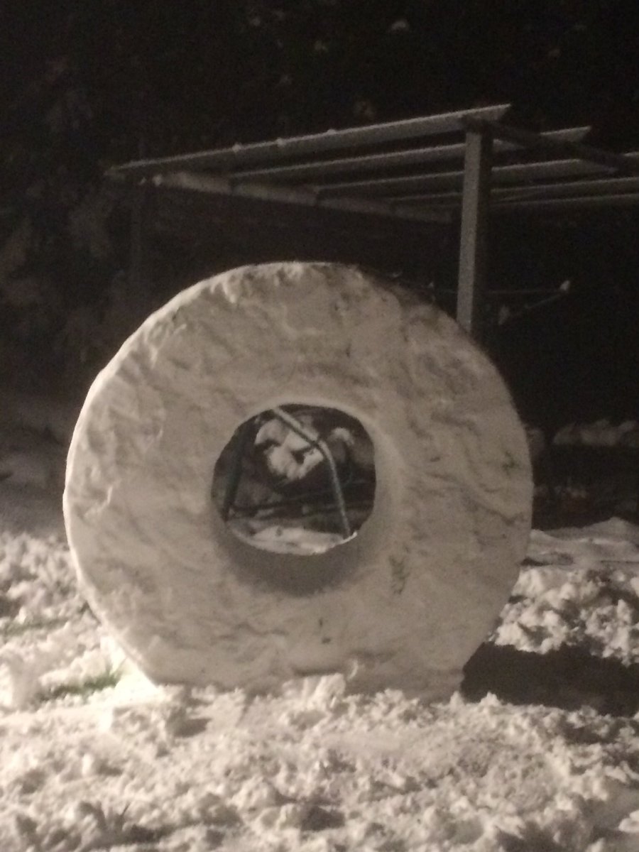 wovendreams's tweet photo. @wrexham This was my giant snow polo yesterday lol https://t.co/7kFeCyB35J