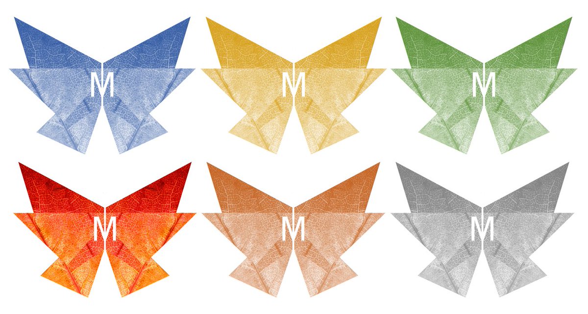 MonarchSPABrand's tweet photo. Life Is Short &amp; Beautiful, Love &amp; Respect Is How We Roll #Equality #LoveWins #Wellbeing https://t.co/Rk253p91hf