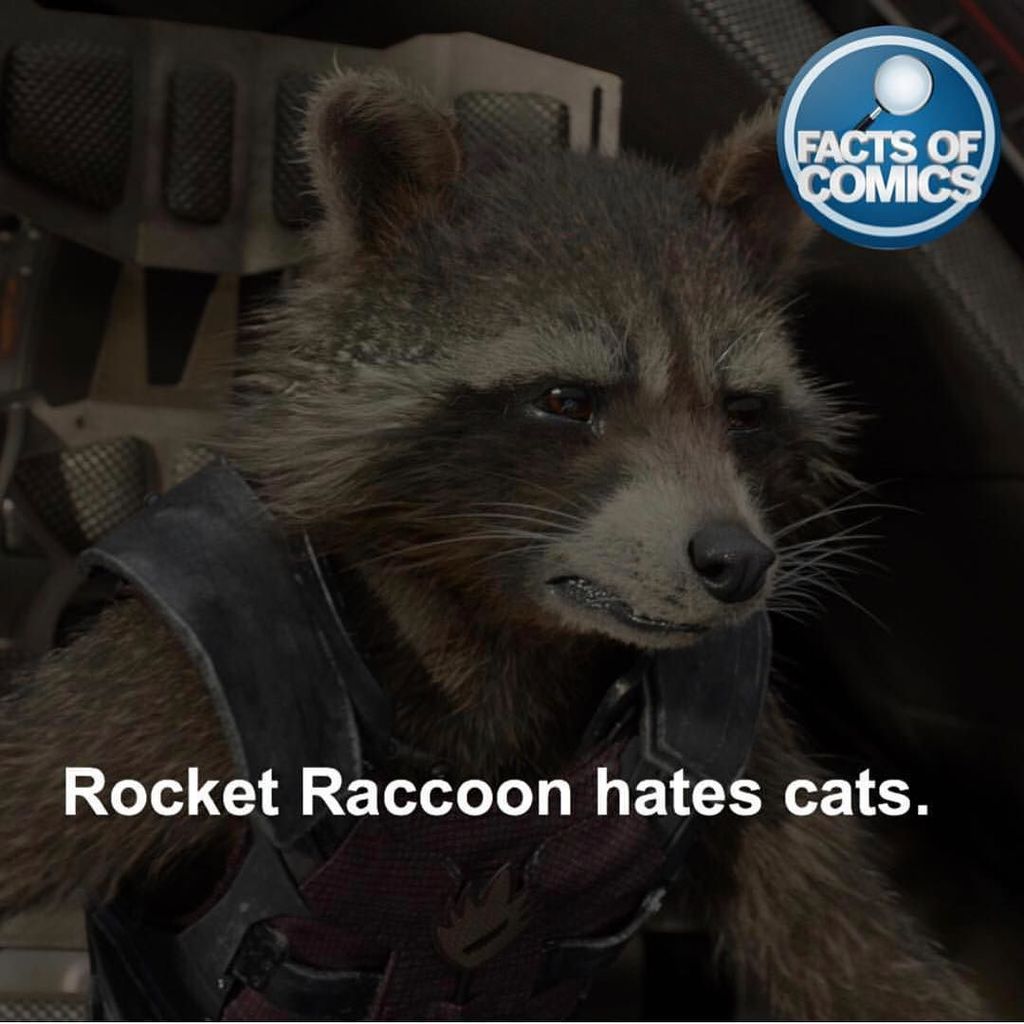 FactsofComics's tweet image. Who’s your favorite Guardian?! Mines Groot❗️ #factsofcomics