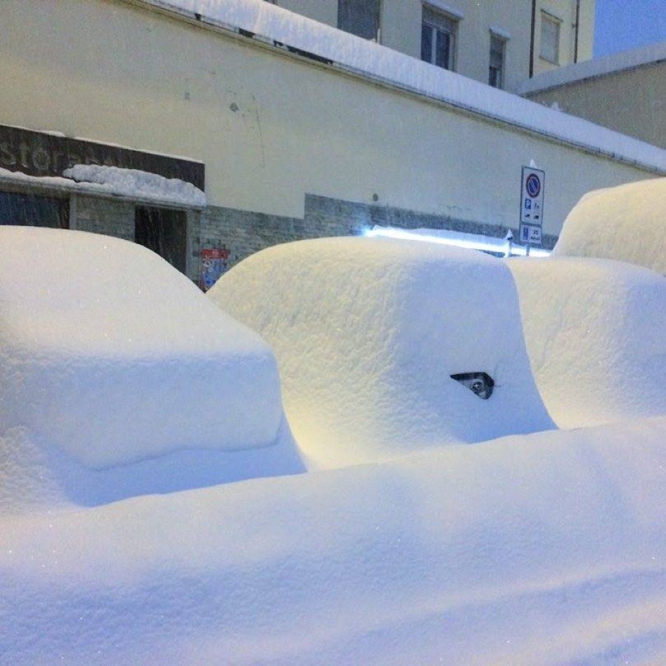 Смешные картинки на гугл, благодарностью коллег