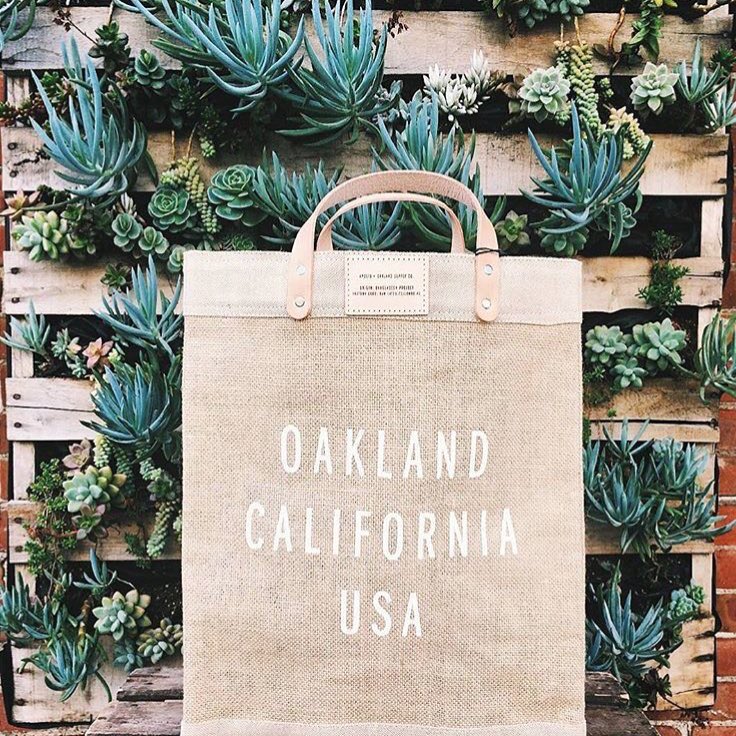 We’re open seven days a week now til Christmas Eve! If you’re at a loss, we have lots of great suggestions for you, just ask! 427 Water Street in the ❤️ of Jack London Square!