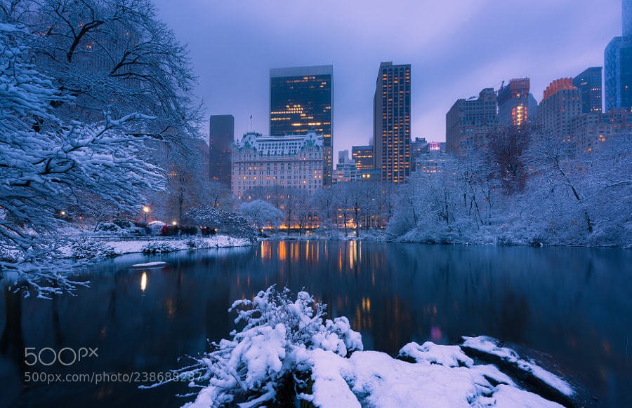 discoverwtravel's tweet image. First snowfall in NYC by wdny18 #photo  #travel