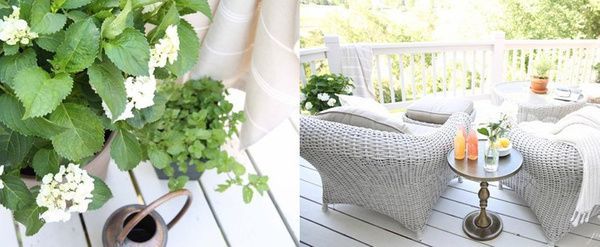 lifecycling_org's tweet photo. 12 Plants That Naturally Repel Mosquitos (POPSUGAR) https://t.co/wj1xNAk7RR https://t.co/0uixejZkD7