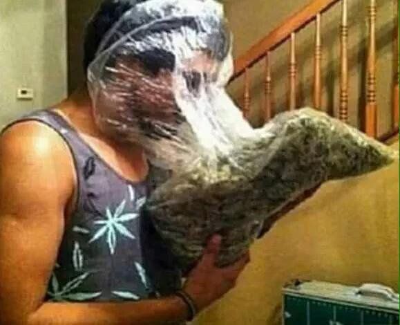 SantaMonicaMJ's tweet photo. When weed is life.. 
.
.
.
.
#santamonica #mjsantamonica #marijuana #medicalmarijauna #medicalcannabis #santamonica #weed #marijuanadelivery #weed #dispensary https://t.co/PbUrZ0LA9i