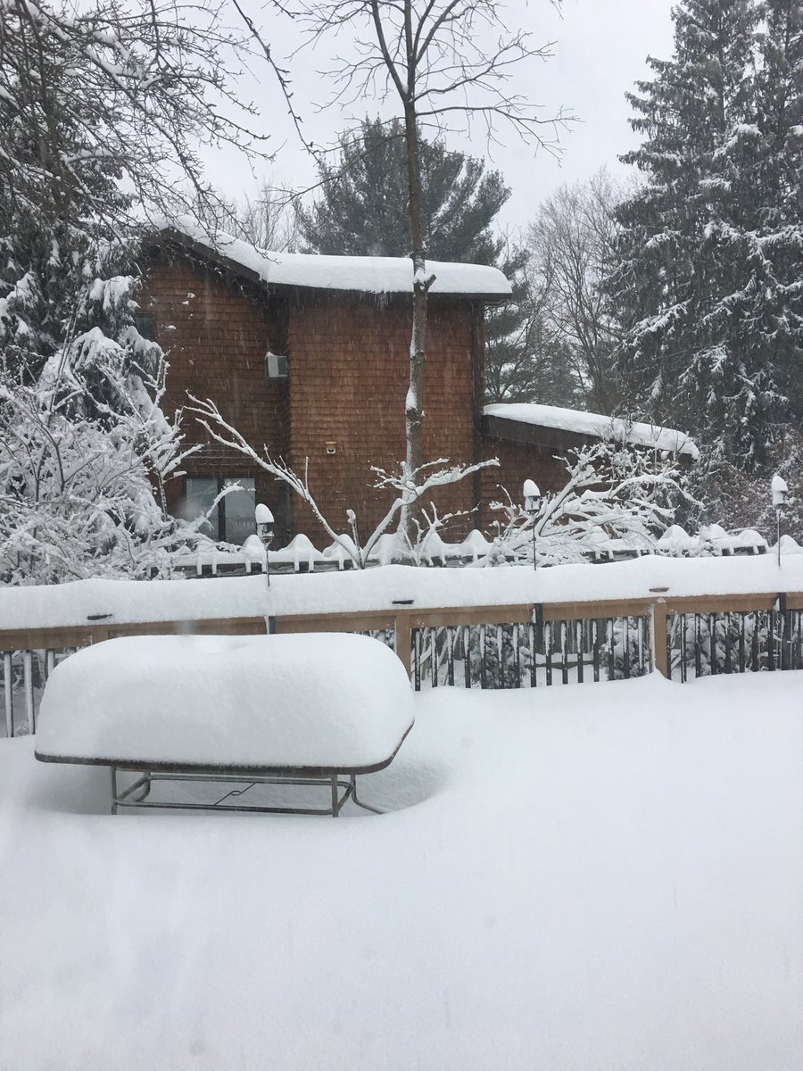 MilliLeo's tweet photo. Buried in Lakeview! #BeOn2 https://t.co/CySQwYTaVG