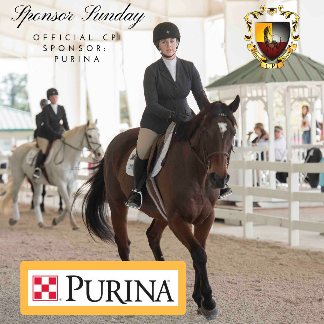 CPIHorseShow's tweet photo. On #sponsor #sunday we want to thank #Purina for being a sponsor of #CPIHorseShow #CPIFlorida #CPITexas #purinahorsefeed #equine #nutrition #CPI #collegiate #riding #horses #equestrian #RideCPI #horseshow
To become a sponsor: https://t.co/t7JK9uI2kl
pc: #andrewrybackphotography https://t.co/HfI4LcQkk0