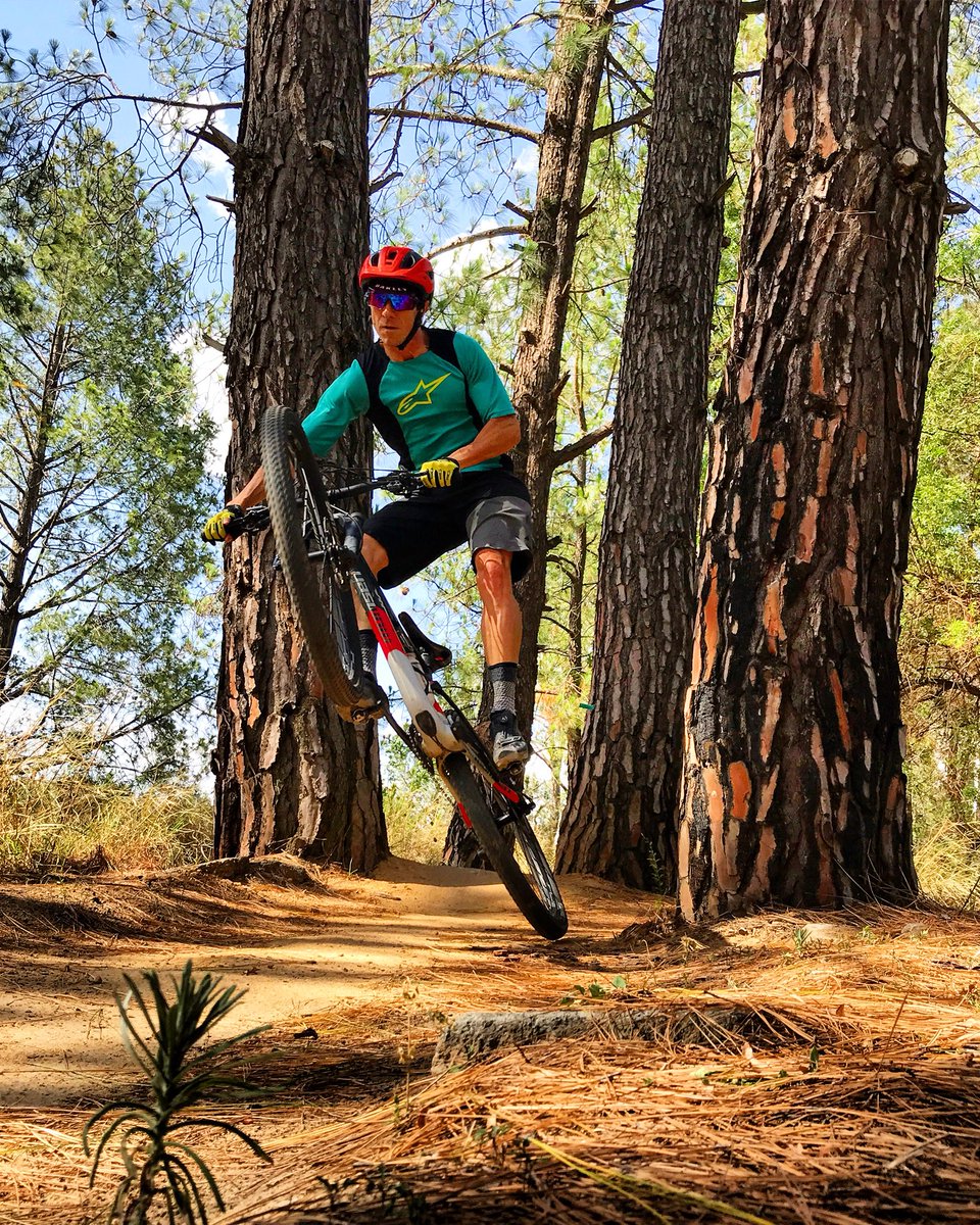 Sean Badenhorst tweet media